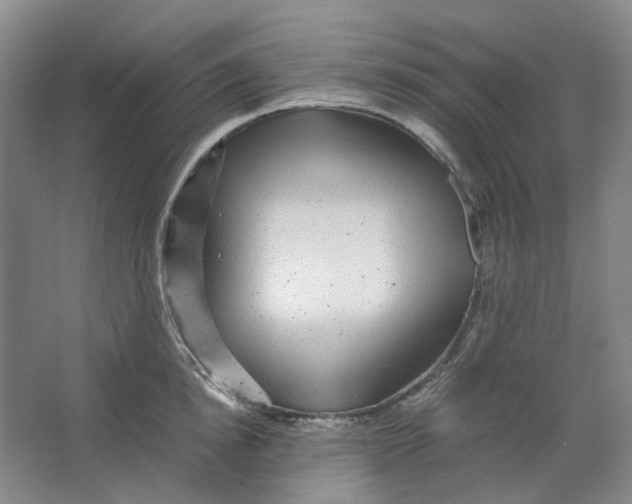 X0000063460854200602101712