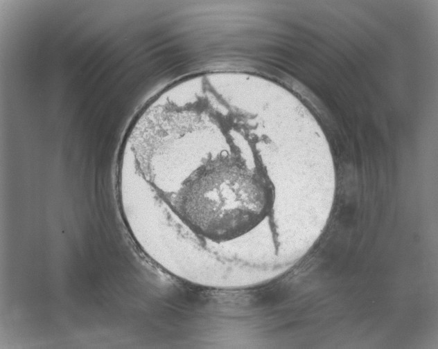 X0000063460856200602101712