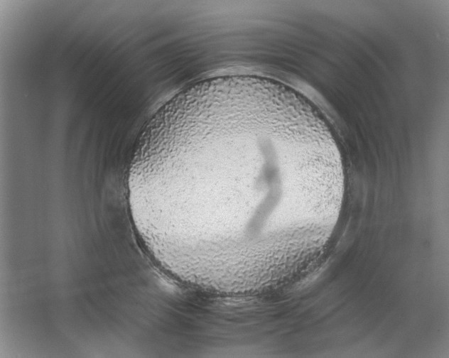 X0000063460857200602101712