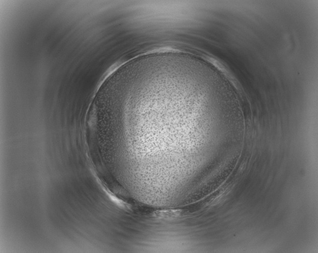 X0000063460858200602101712