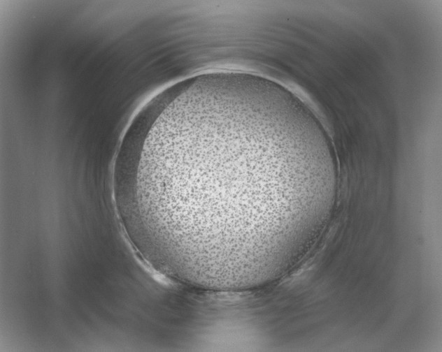 X0000063460862200602101713