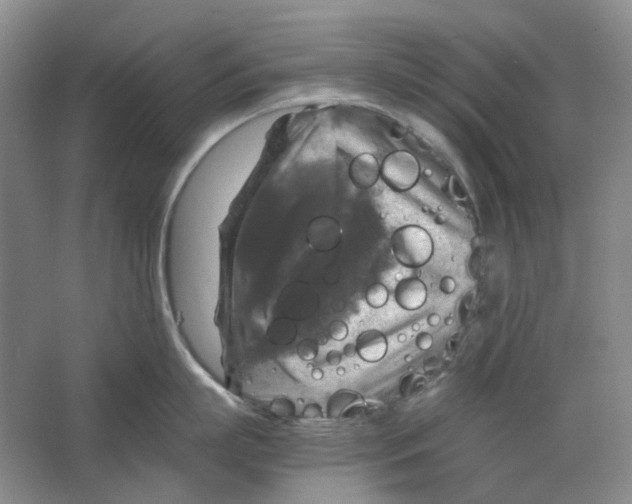 X0000063460863200602101713