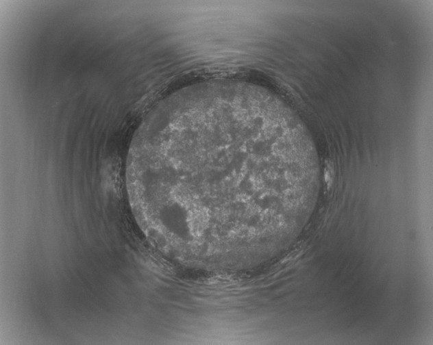 X0000063460867200602101712