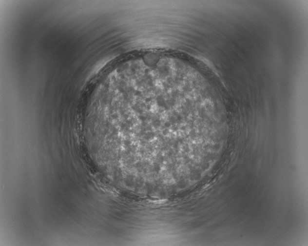 X0000063460871200602101712