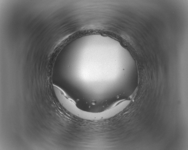 X0000063460872200602101712