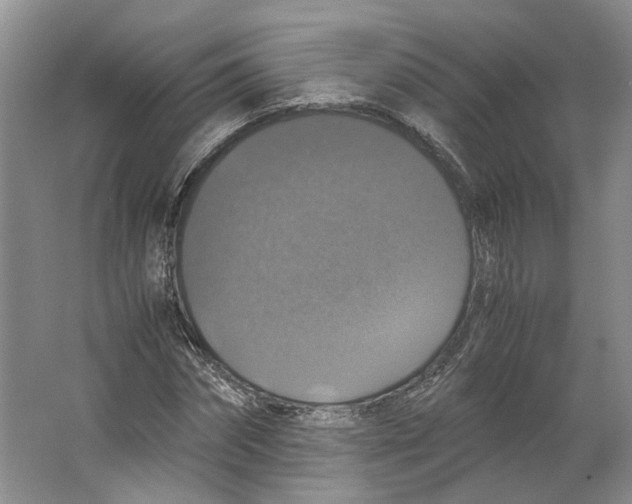 X0000063460874200602101712