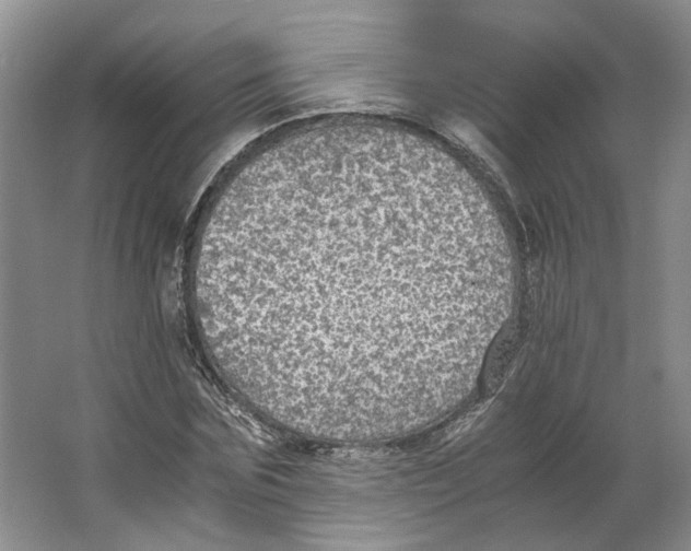 X0000063460875200602101712
