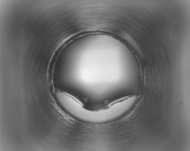 X0000063460876200602101712