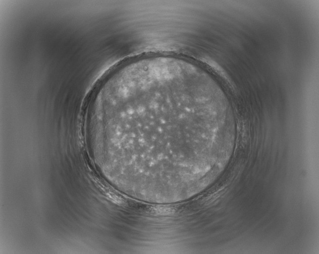 X0000063460878200602101712