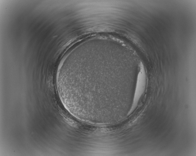 X0000063460881200602101711