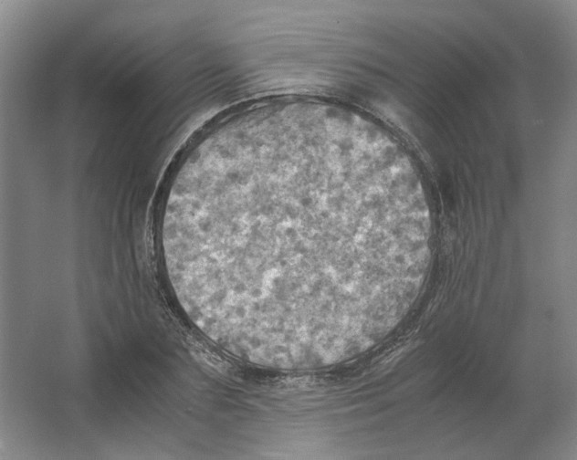 X0000063460883200602101711