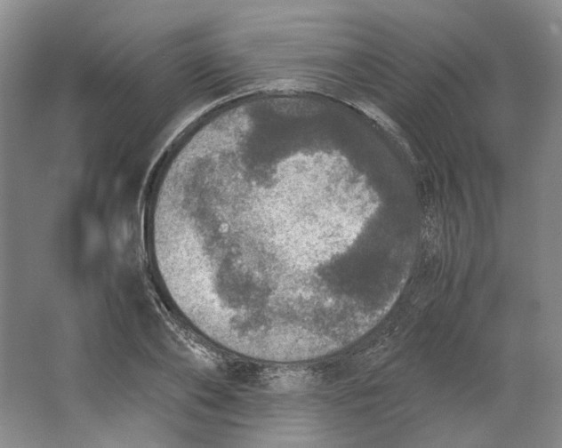 X0000063460886200602101711