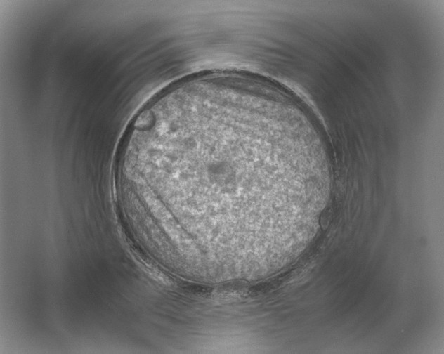 X0000063460887200602101711