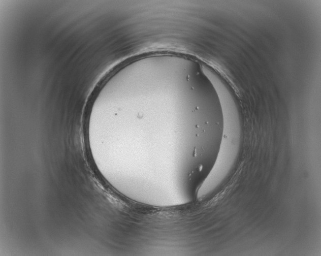 X0000063460888200602101711