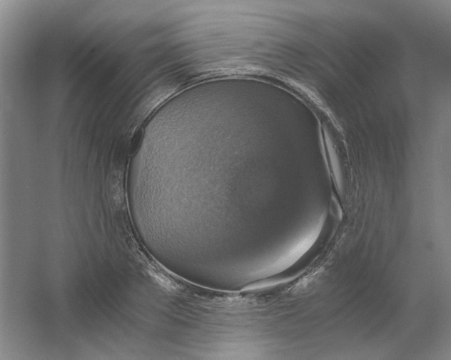 X0000063460889200602101711