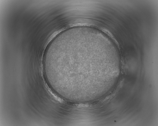 X0000063460890200602101711