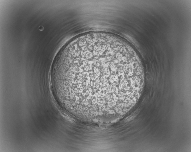 X0000063460891200602101711