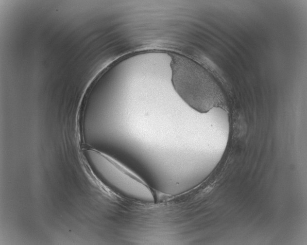 X0000063460892200602101711