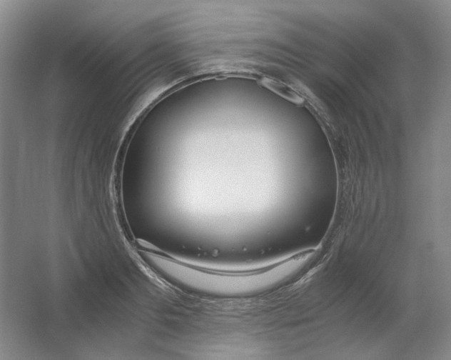 X0000063460893200602101711