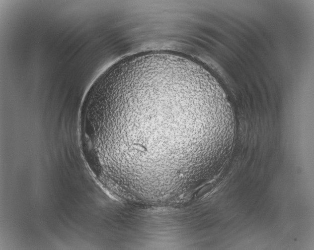 X0000063460894200602101711