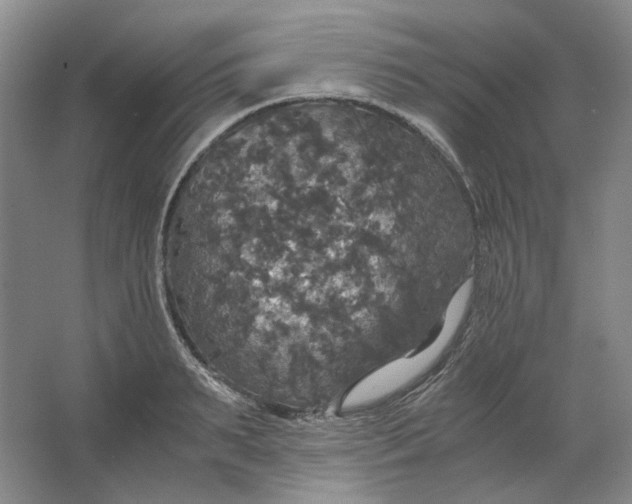 X0000063460895200602101711