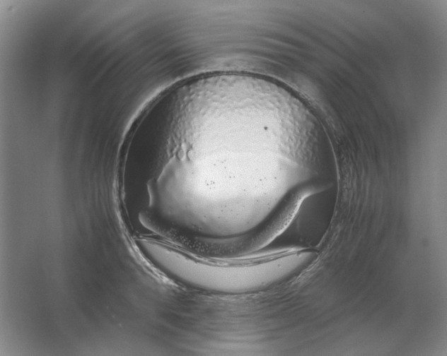 X0000063460896200602101711