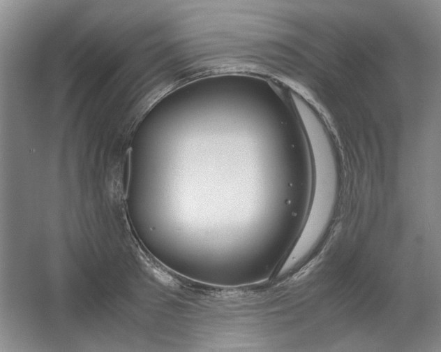 X0000063460897200602101711