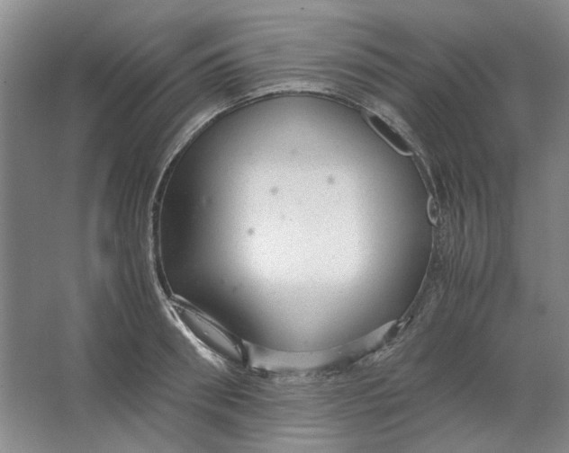 X0000063460898200602101711