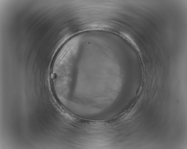 X0000063460899200602101711