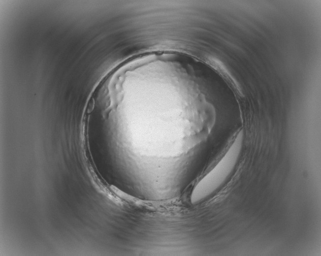 X0000063460900200602101711