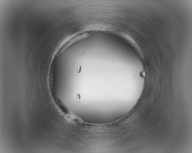 X0000063460901200602101711