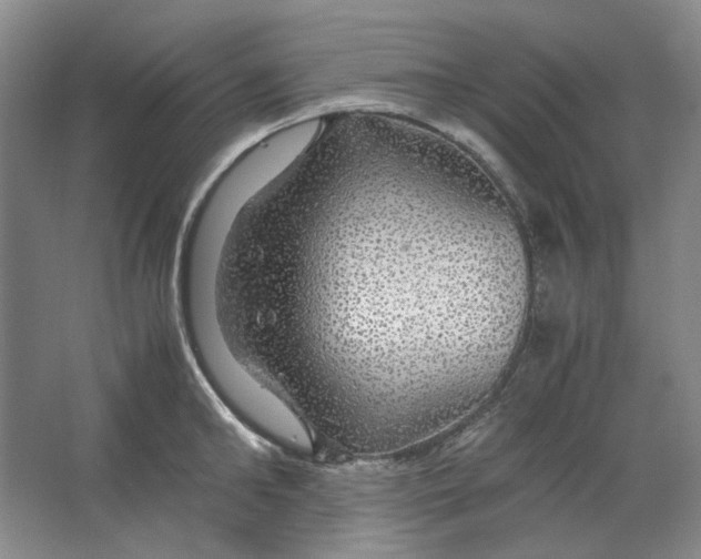 X0000063460902200602101711