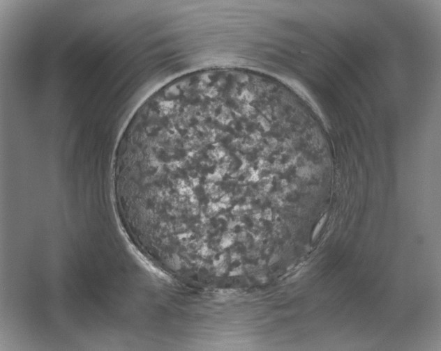 X0000063460903200602101711