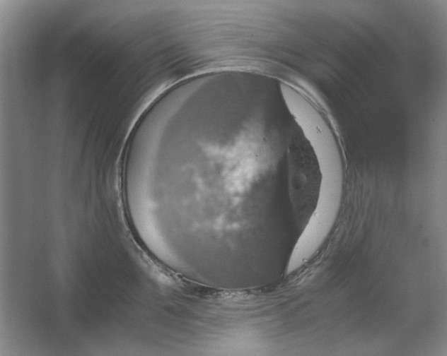 X0000063460907200602101711