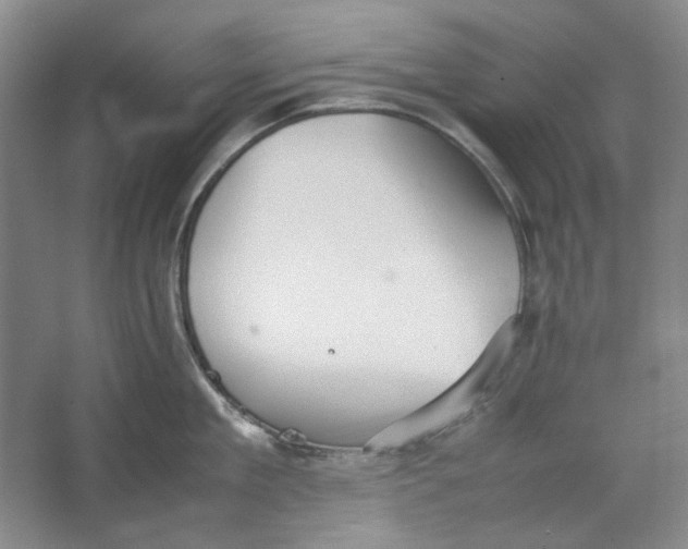 X0000063460909200602101711