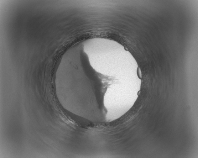 X0000063460913200602101710