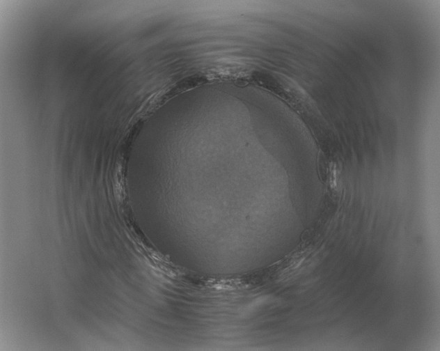 X0000063460915200602101710