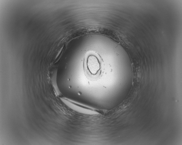 X0000063460916200602101710