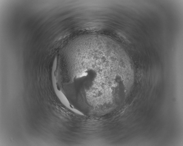 X0000063460917200602101710