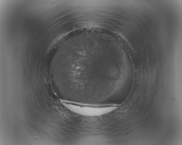 X0000063460919200602101710