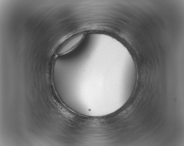 X0000063460922200602101710