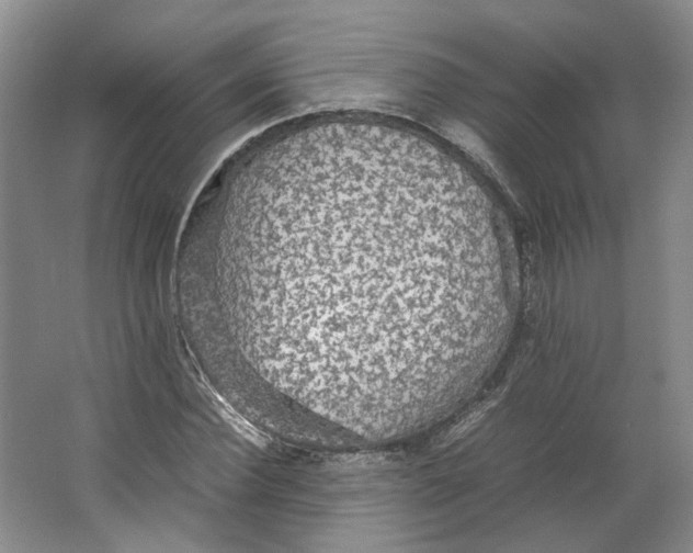 X0000063460924200602101710