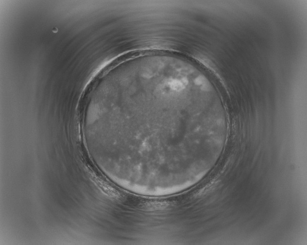 X0000063460925200602101710