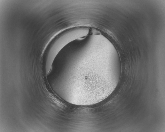 X0000063460926200602101710