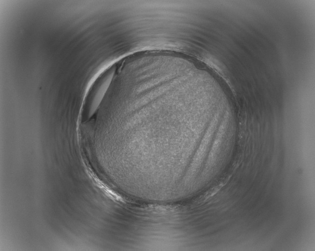 X0000063460928200602101710