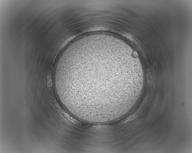 X0000063460929200602101710