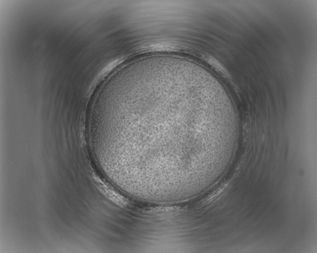 X0000063460930200602101710