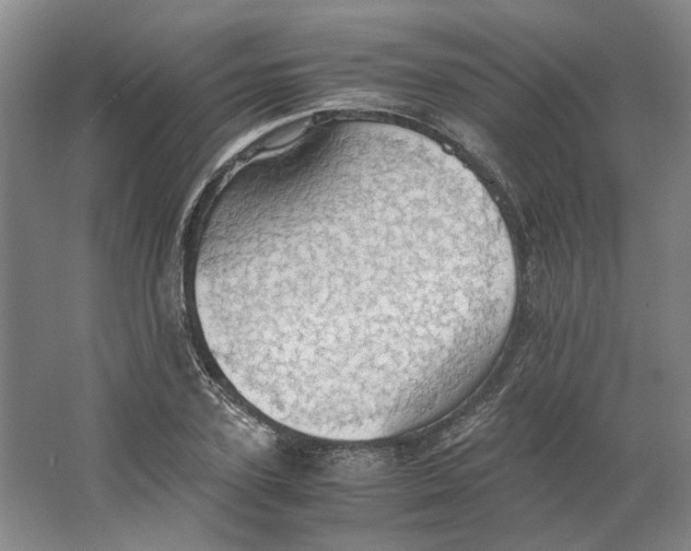 X0000063460931200602101710