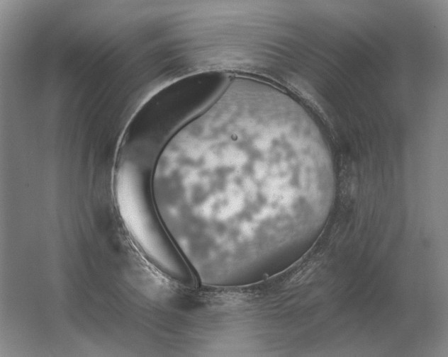 X0000063460932200602101710