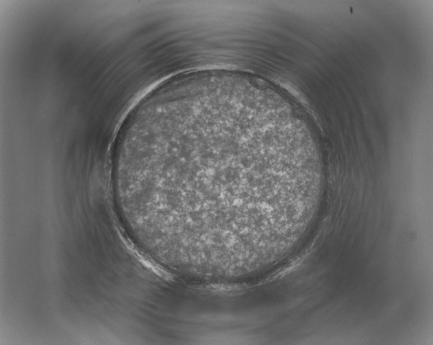 X0000063460933200602101710